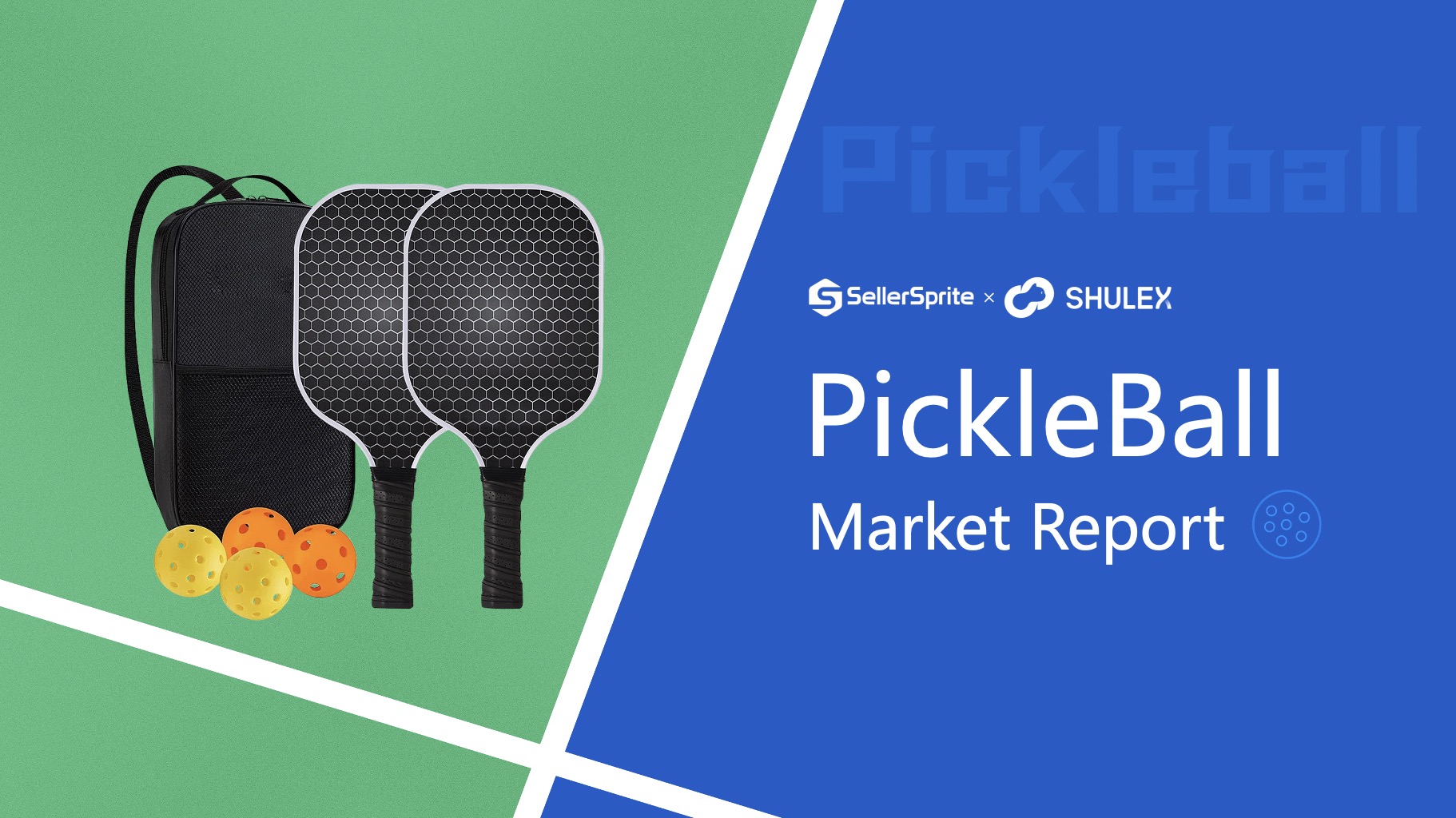 PickleBall Market Report